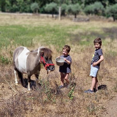 Гостьовий будинок Arca Dos Animais - Farming & Spa Каштелу-Бранку Екстер'єр фото