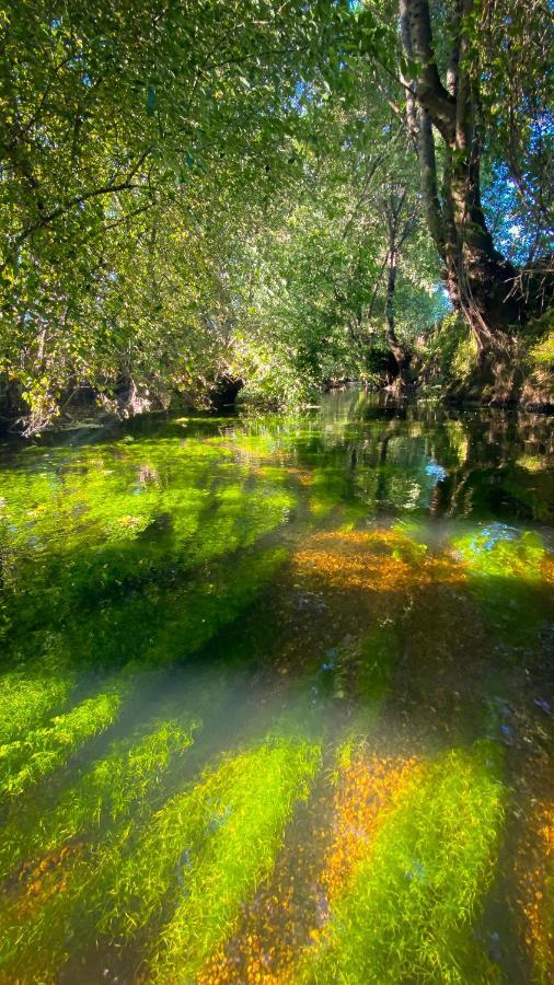 Гостьовий будинок Arca Dos Animais - Farming & Spa Каштелу-Бранку Екстер'єр фото