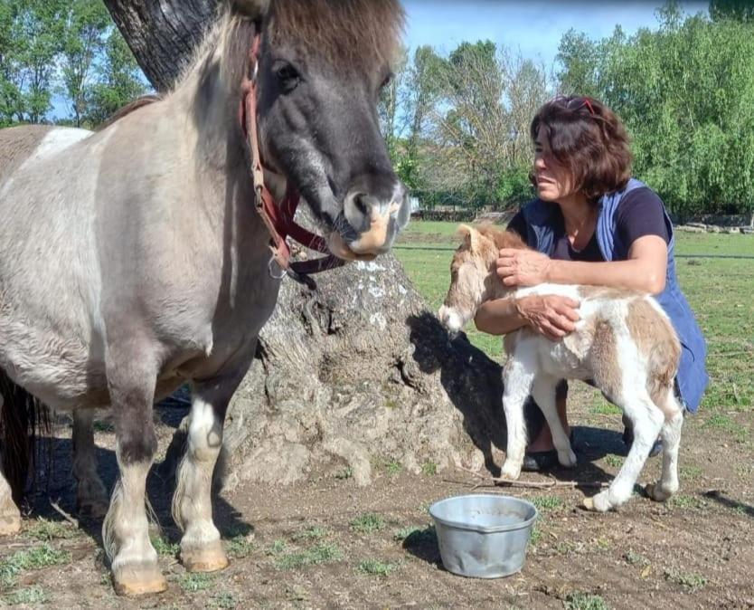 Arca Dos Animais - Farming & Spa Каштелу-Бранку Екстер'єр фото
