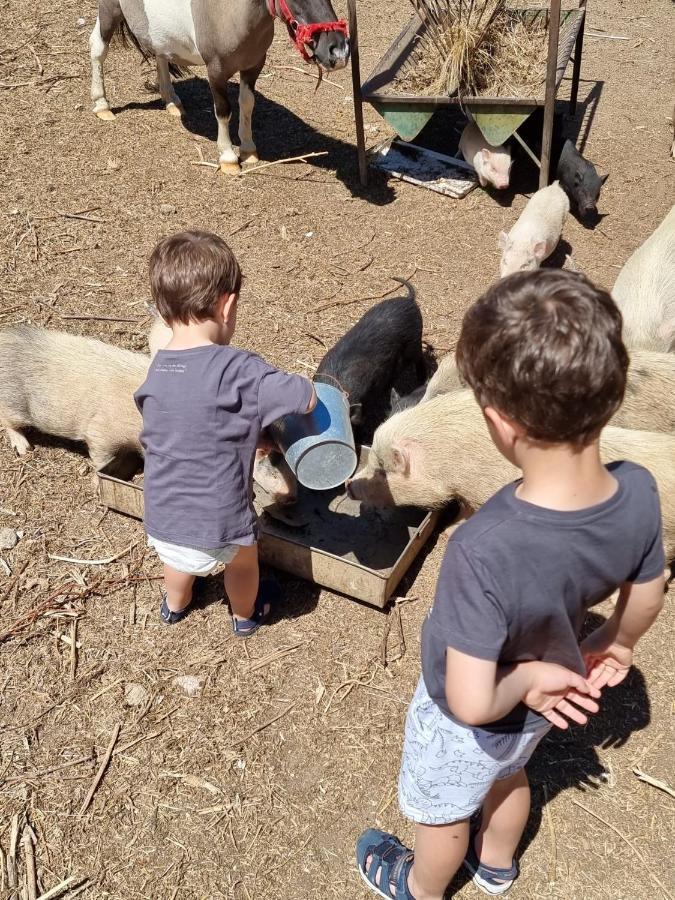 Arca Dos Animais - Farming & Spa Каштелу-Бранку Екстер'єр фото