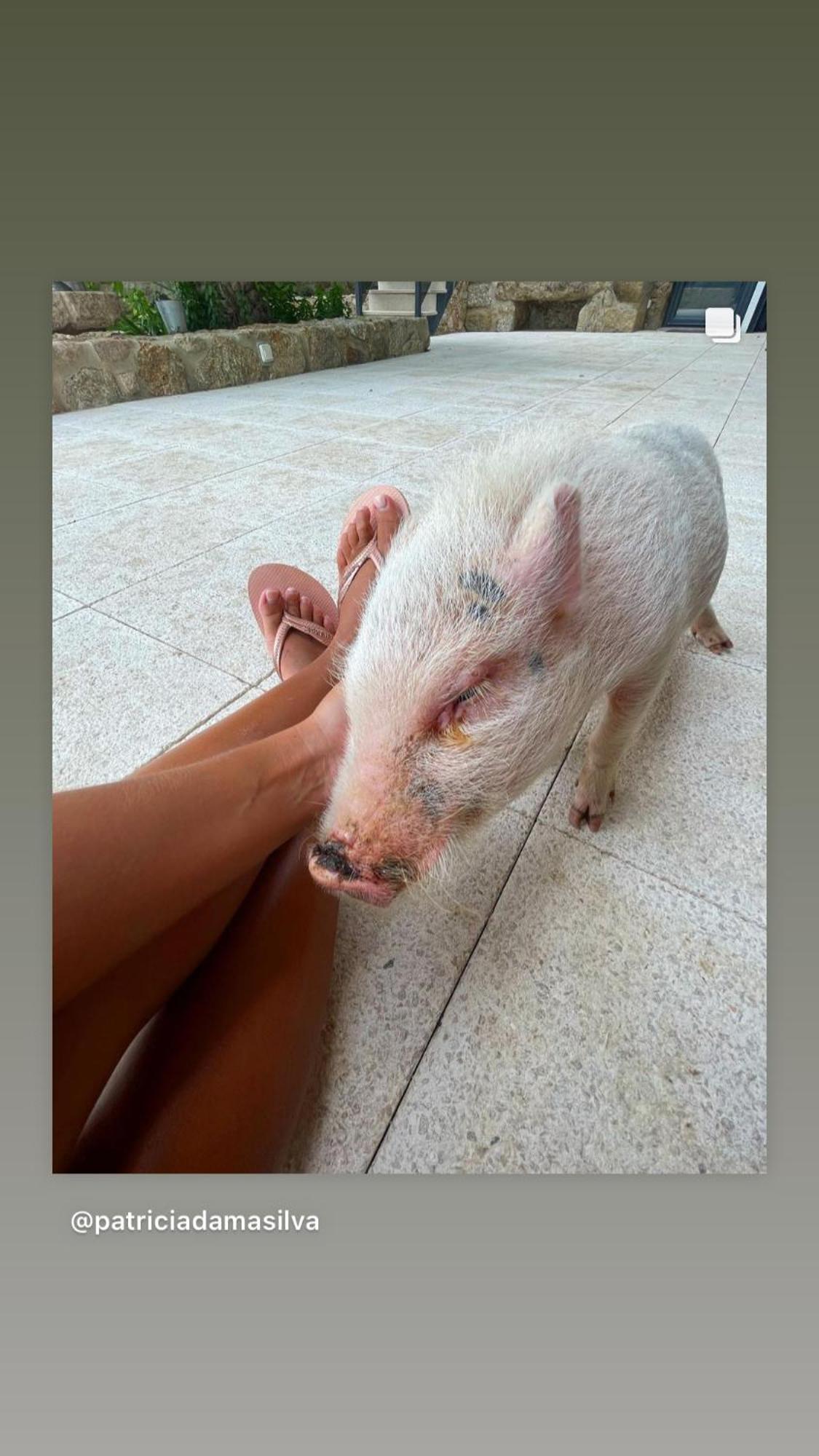 Arca Dos Animais - Farming & Spa Каштелу-Бранку Екстер'єр фото